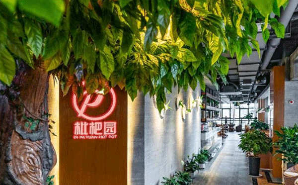 重慶餐飲網(wǎng)紅店有哪些-枇杷園食為鮮火鍋