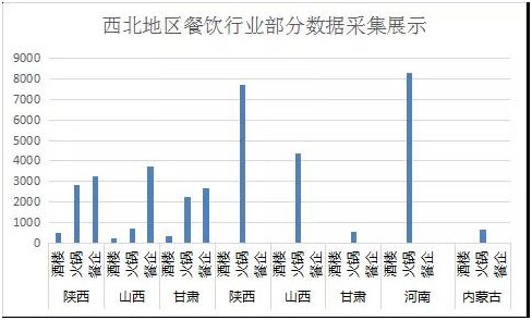 西北地區(qū)餐飲行業(yè)部分數(shù)據(jù)采集展示